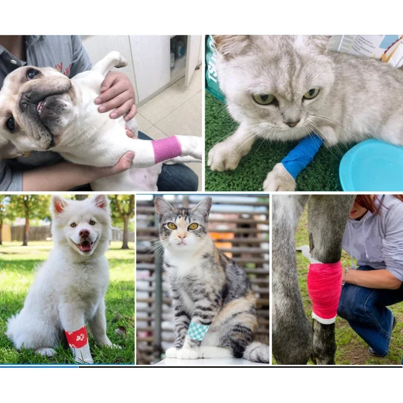 Self-Adhesive Protective Pet Bandage Wrap – Wrapzen™