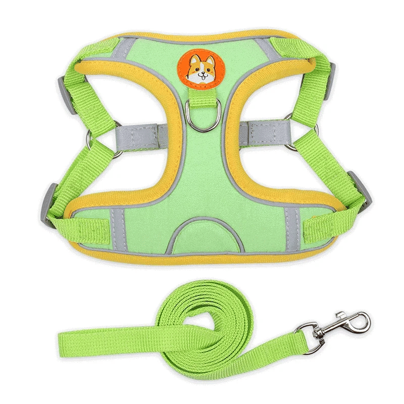 Polyester Mesh Dog Collar & Leash Set for Small to Large Dogs – Nokwell™