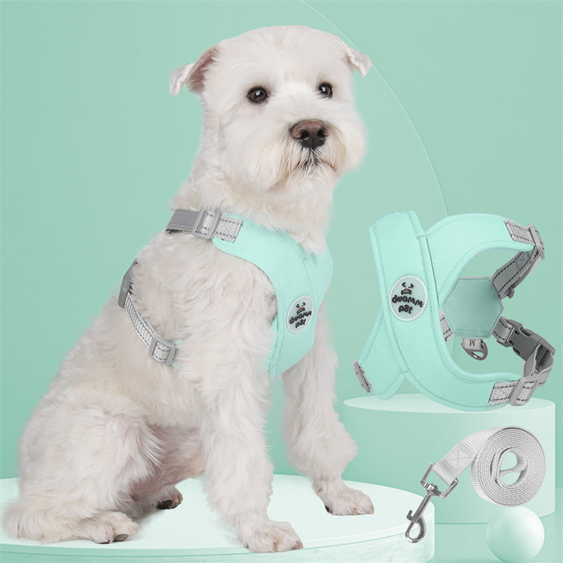Adjustable Polyester Collar and Leash Set for Dogs and Cats – Zynn™