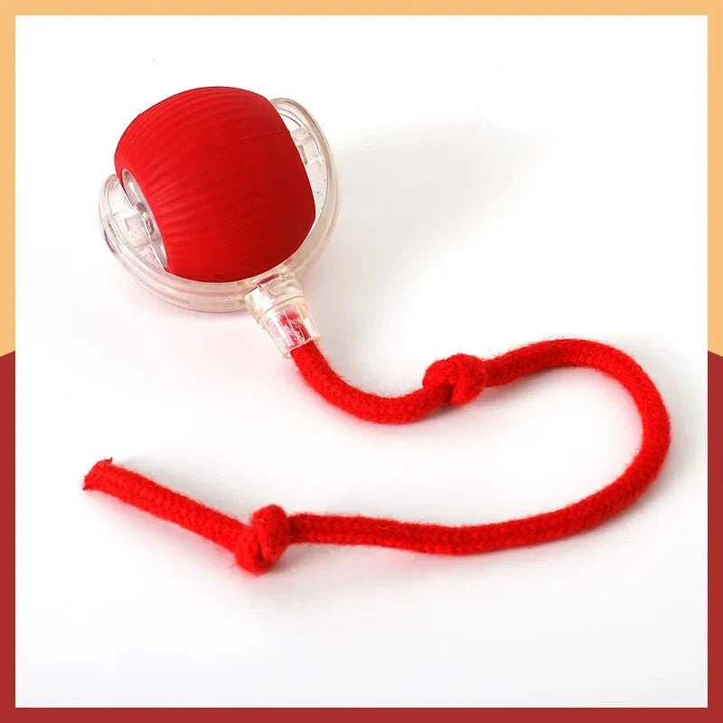 Motion-Sensor Automatic Rolling Ball Cat Toy – Rollio™