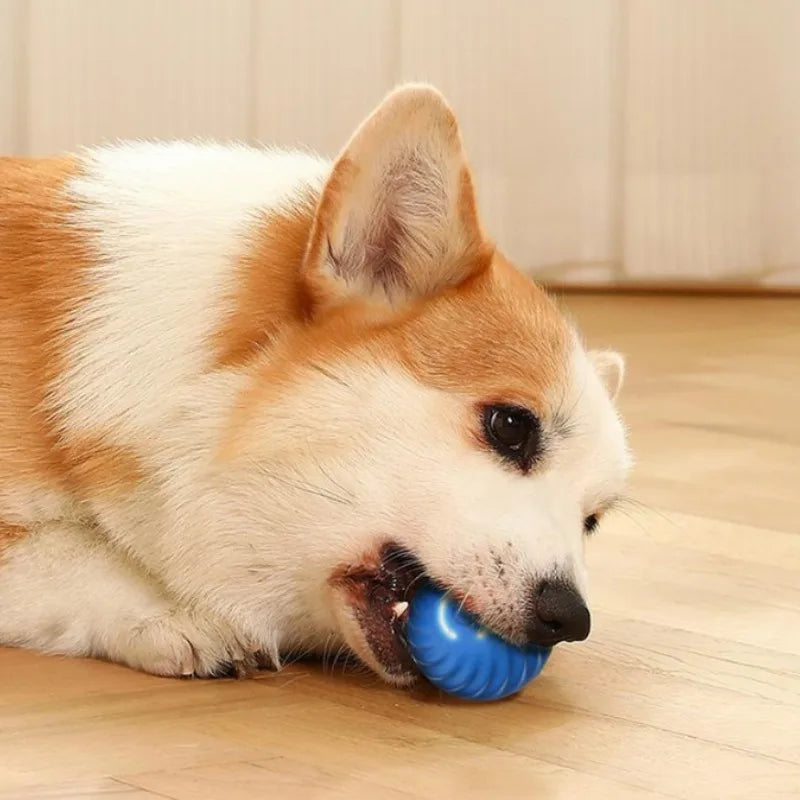 USB Rechargeable Automatic Rolling Fetch Ball Toy for Pets – Rovetta™