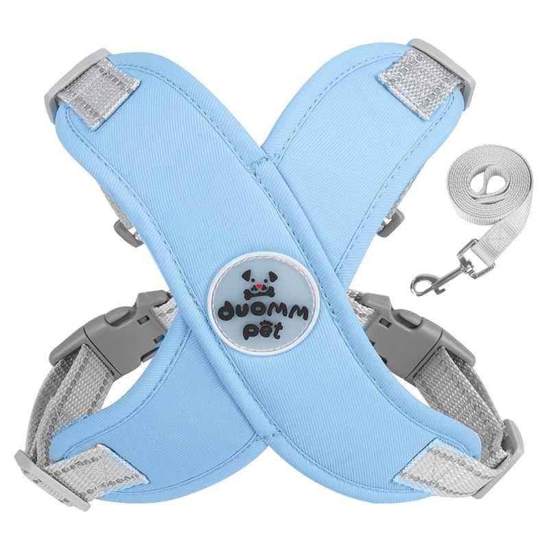 Adjustable Polyester Collar and Leash Set for Dogs and Cats – Zynn™