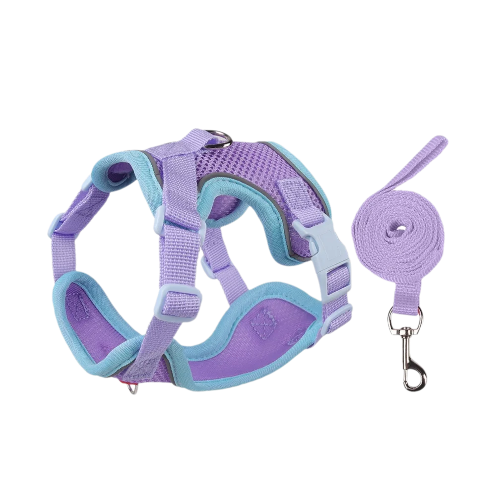 Reflective Nylon Dog Collar & Leash Set for Small to Large Dogs – Duskra™