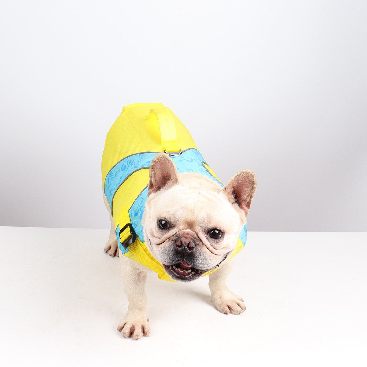 Pet Life Jacket with Adjustable Fit – Drifton™