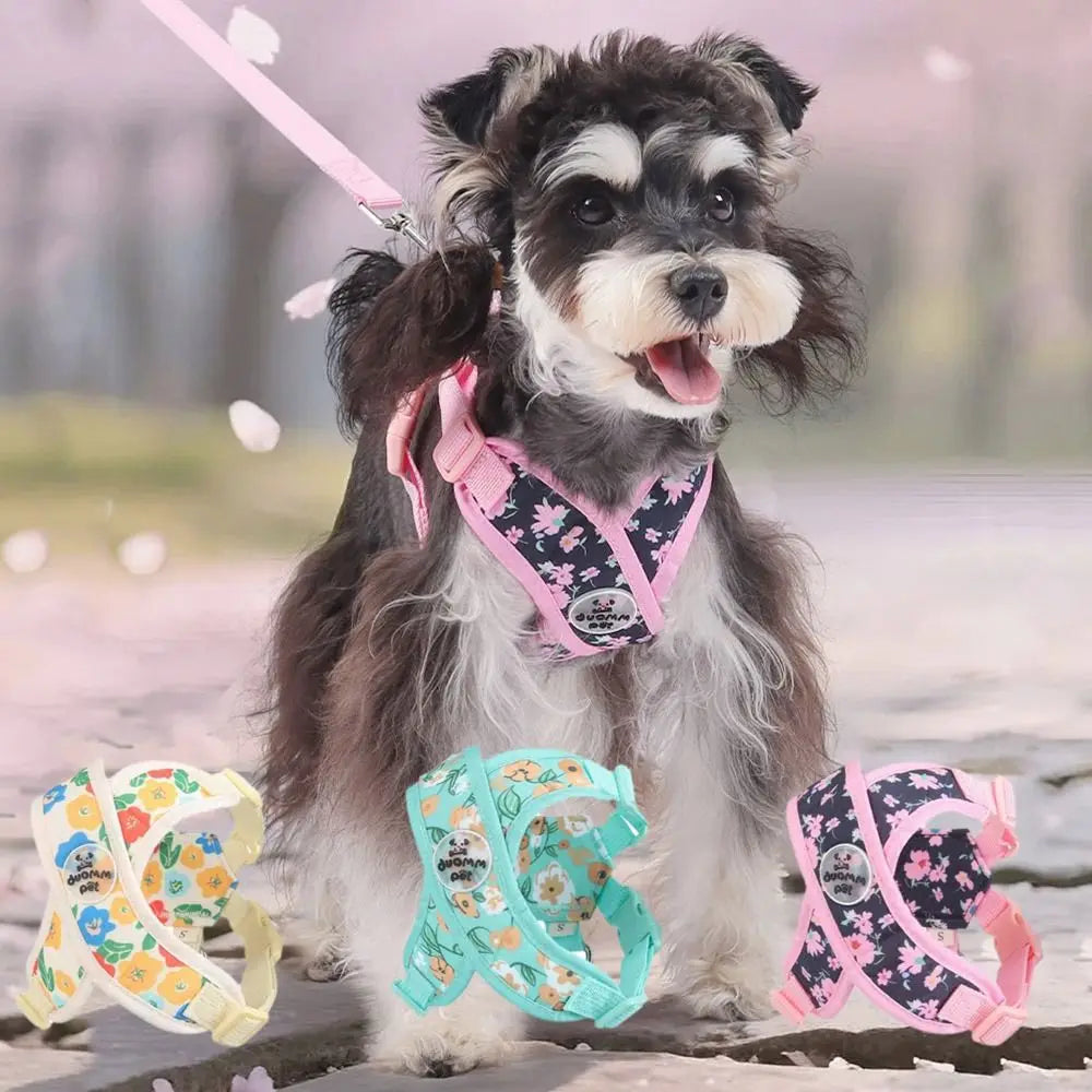 Floral Print Polyester Mesh Collar & Leash Set for Pets – Blithe™