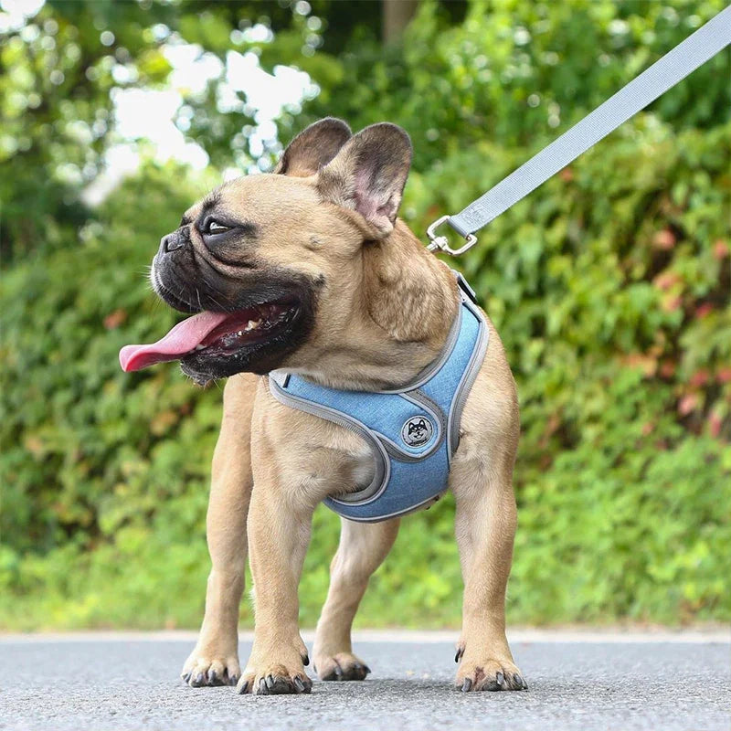 Soft Reflective Nylon Chest Harness for Dogs & Cats – Dovex™