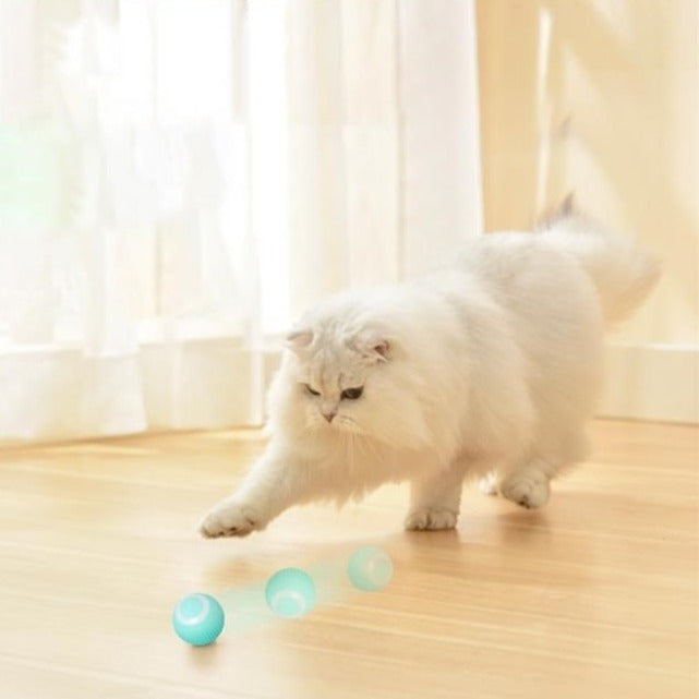 Self-Rolling Automatic Ball Pet Toy with USB Charging – Zumio™
