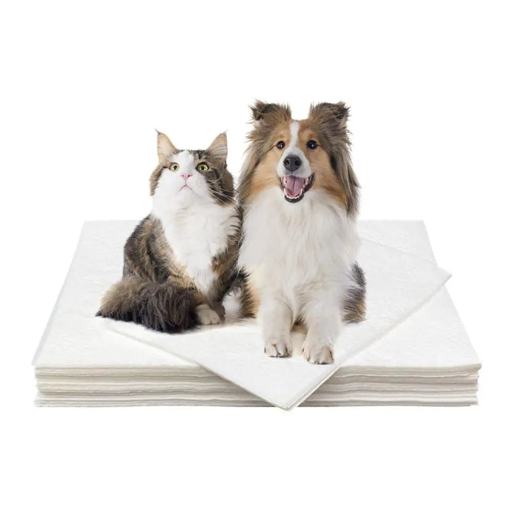 Disposable Pet Potty Pads – Ultra Absorbent, 50-Count – Driply™