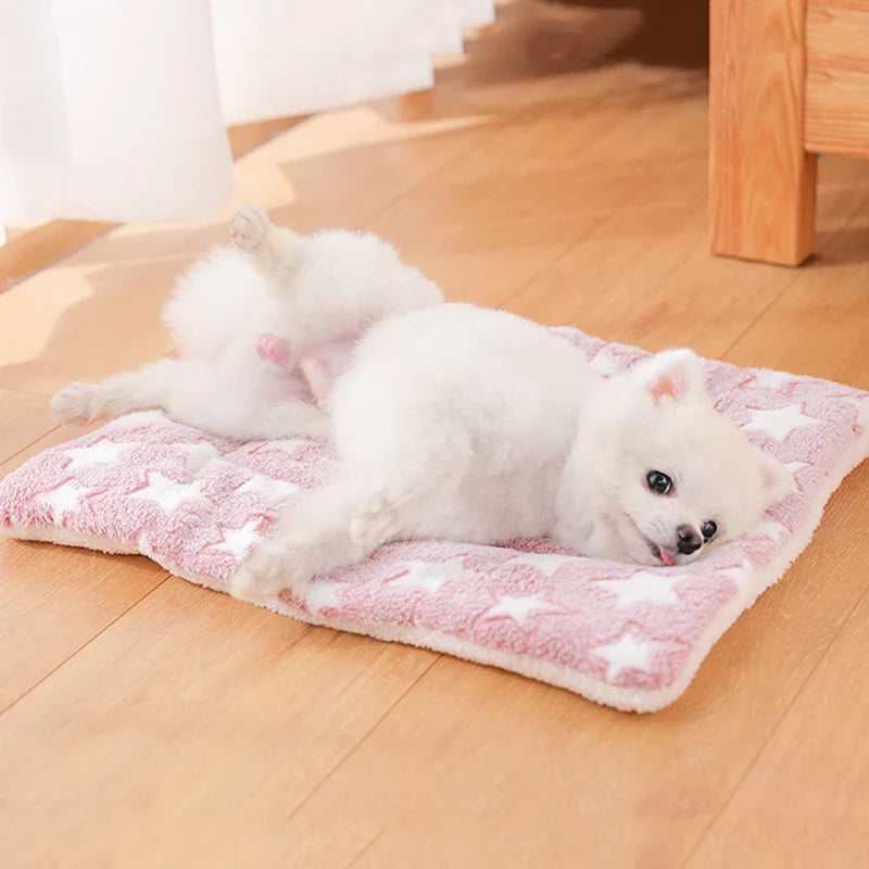 Cotton Pet Sleeping Mat in 4 Sizes – Lybe™