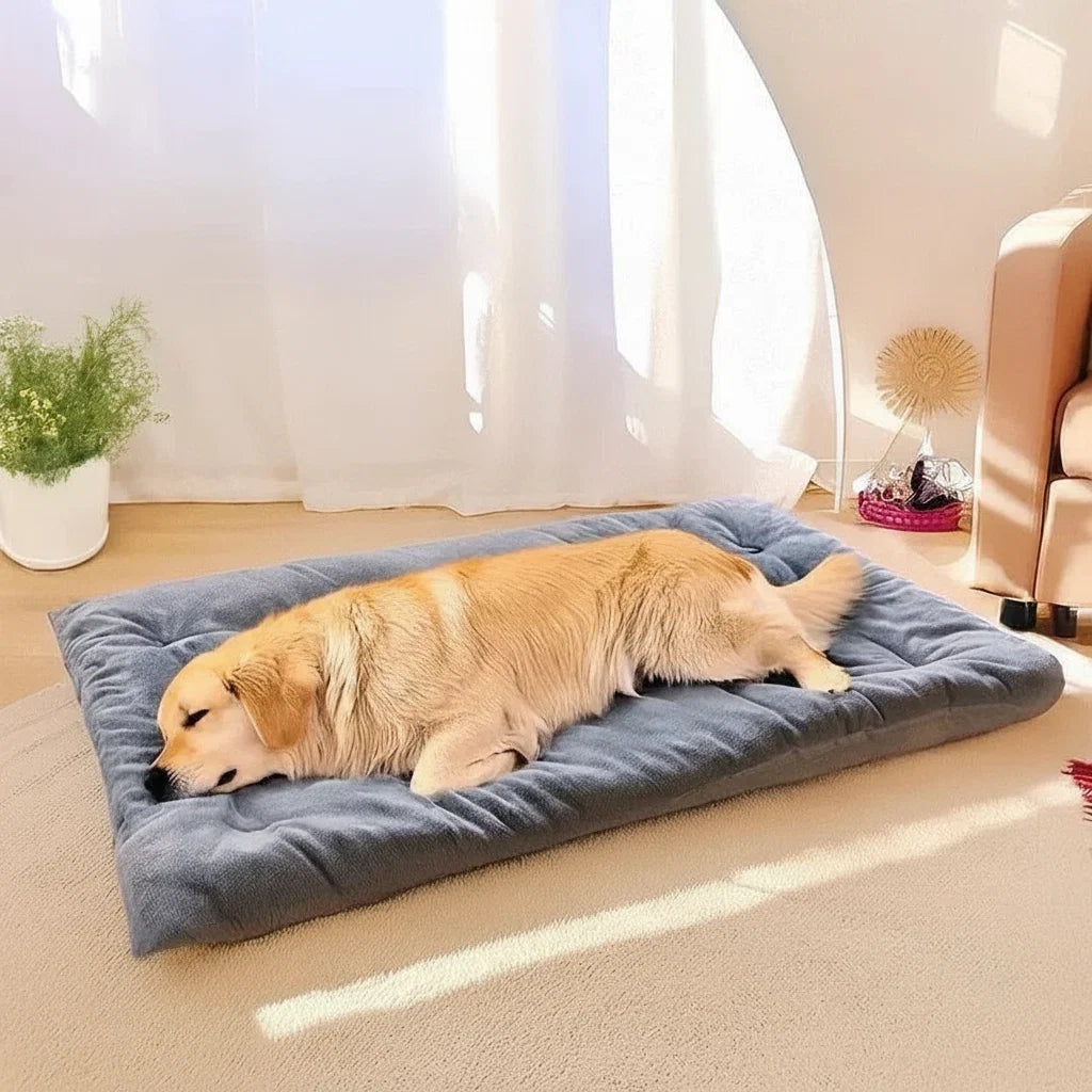 Cama Pet Colchão Blissem