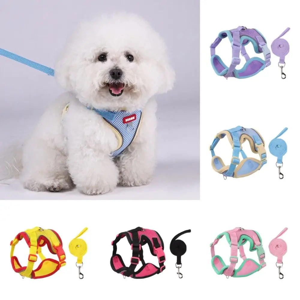 Reflective Nylon Dog Collar & Leash Set for Small to Large Dogs – Duskra™