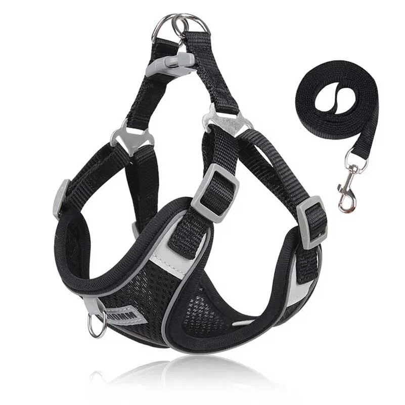 Adjustable Harness, Collar & Leash Set for Small to Medium Dogs – WalkFit™