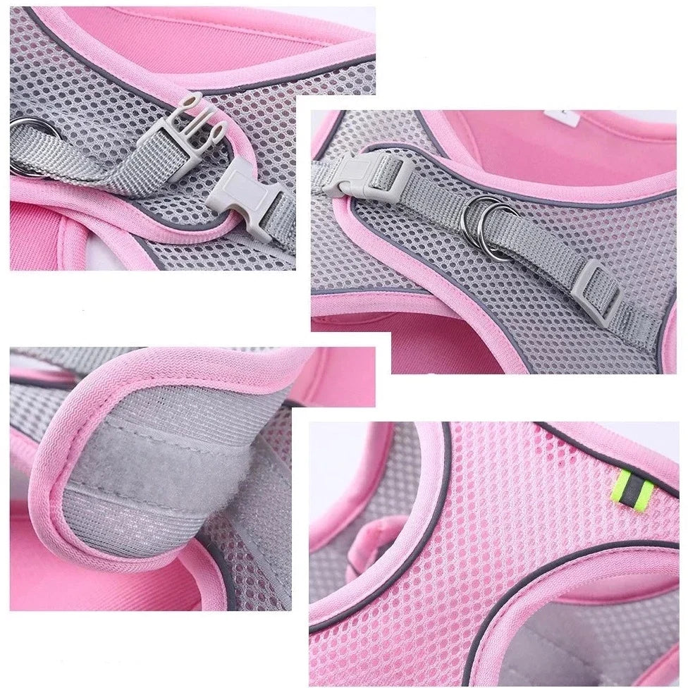 Reflective Collar & Leash Set for Dogs & Cats – Kinlo™