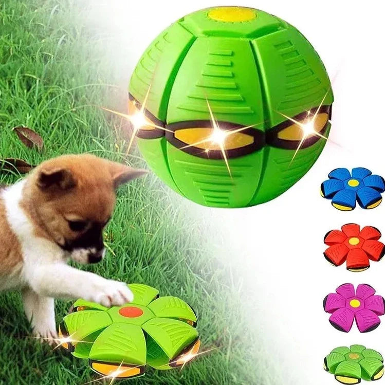 Interactive Pet Ball Toy with Light-Up Option for Dogs – Pulzo™