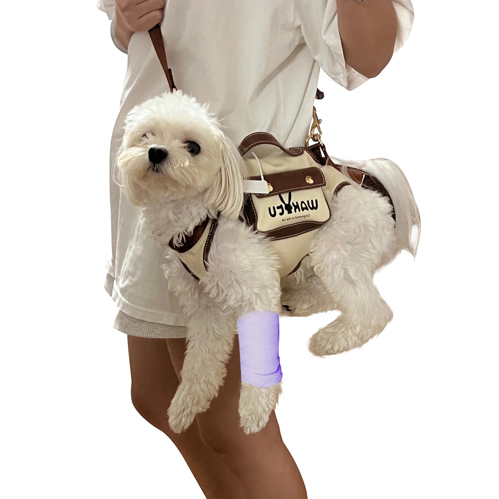 Backpack Carrier with Lift Support Leash for Pets – LiftEase™