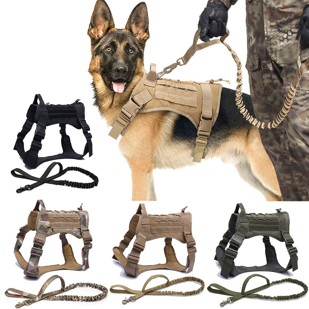 Nylon Chest Harness & Leash Training Set for Medium to Large Dogs – FieldRun™