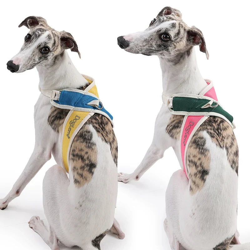 Padded No-Pull Pet Collar with Adjustable Nylon Strap – Cozwell™
