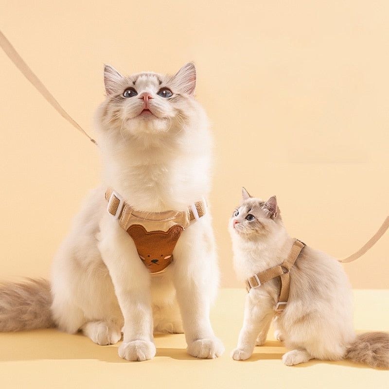 Adjustable Dog & Cat Collar and Leash Set with Lion & Bear Print – LoopLead™