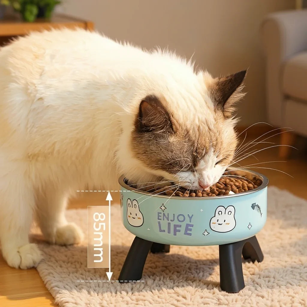 Elevated Pet Bowl for Dogs & Cats with Stainless Steel Insert – Perko™