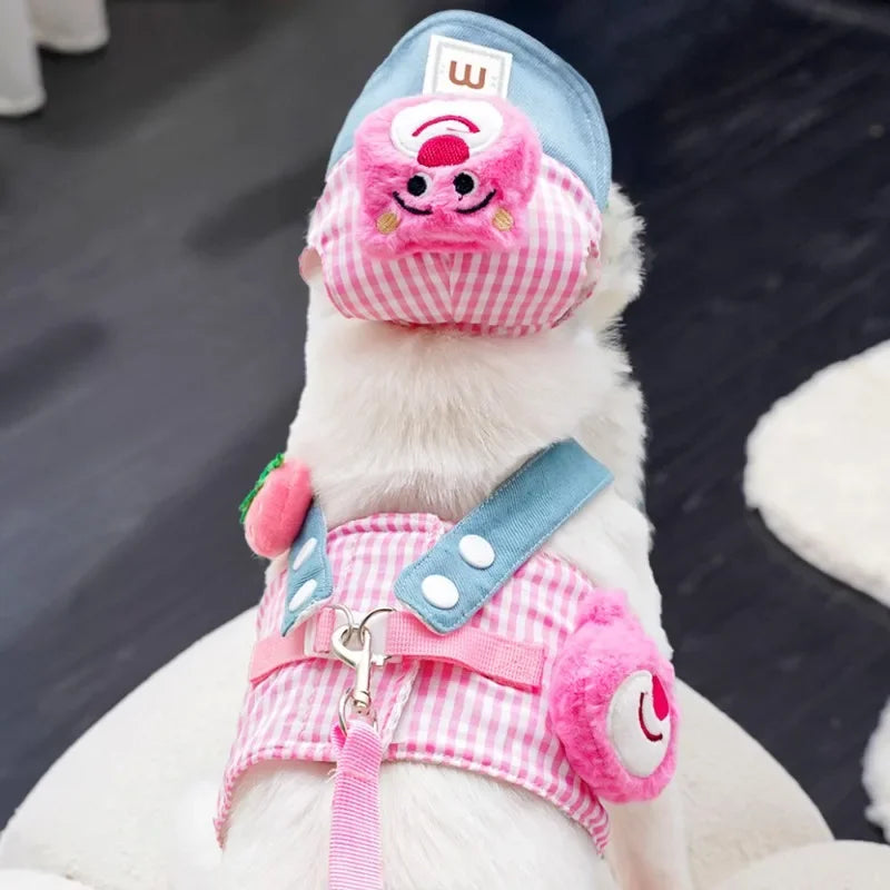 Dog Collar & Leash Set with Matching Hat – Zippa™