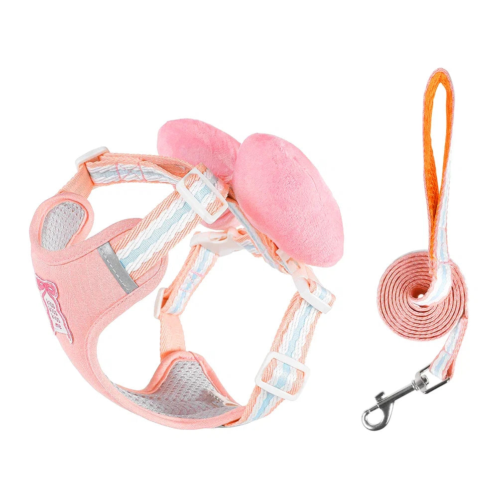 Adjustable Collar & Leash Set with Quick-Release D-Ring Buckle – Moxwell™