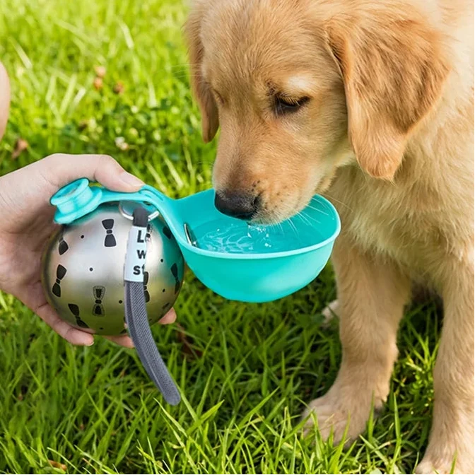 Portable Stainless Steel Pet Water Bottle with Foldable Bowl – Fluvo™