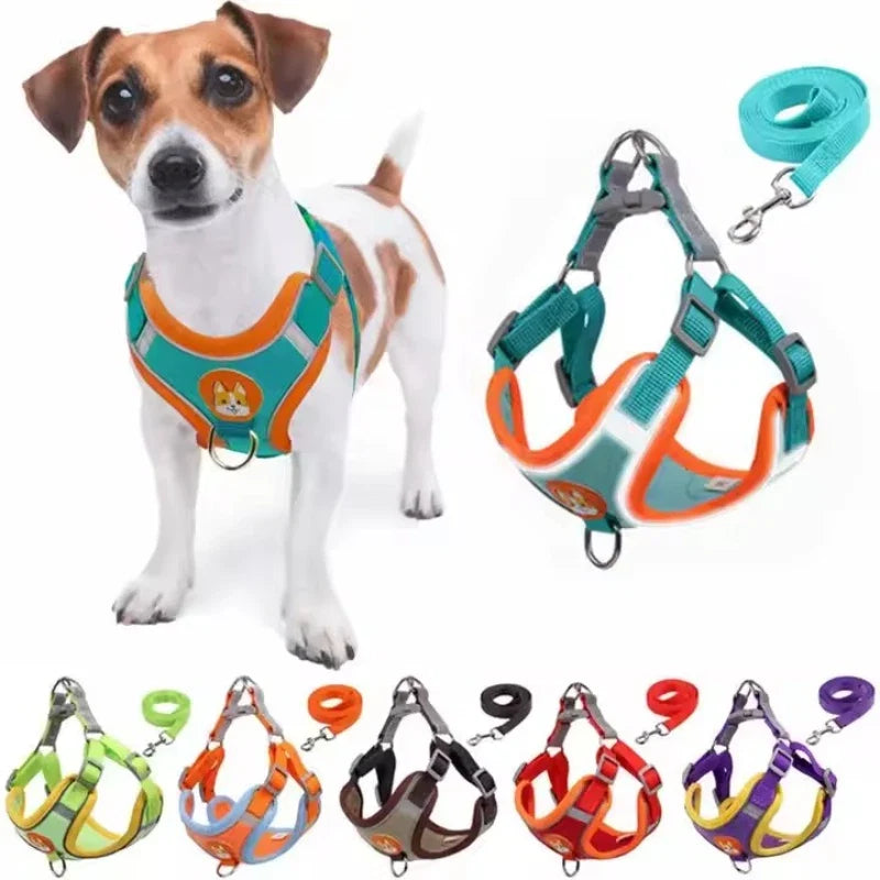 Polyester Mesh Dog Collar & Leash Set for Small to Large Dogs – Nokwell™