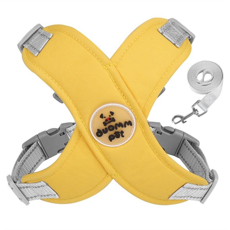 Adjustable Polyester Collar and Leash Set for Dogs and Cats – Zynn™