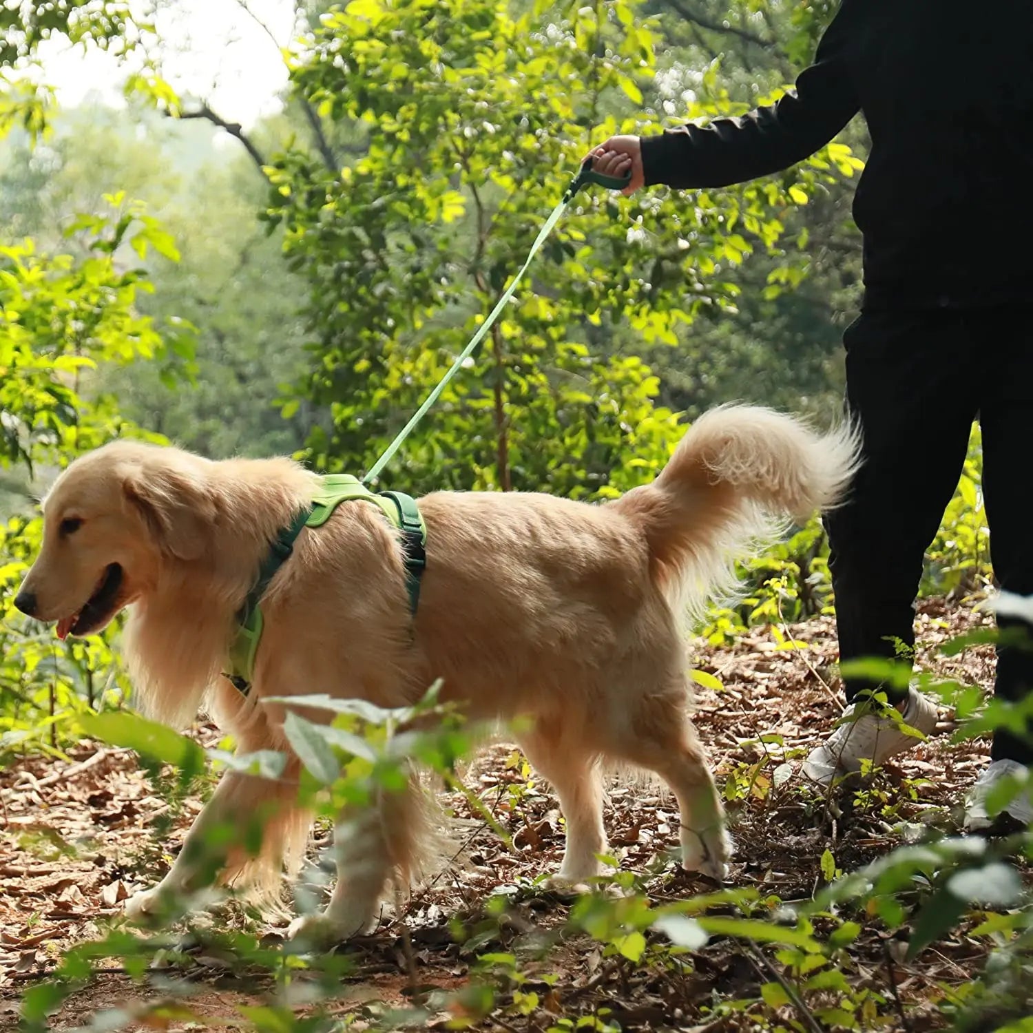 Retractable Dog Harness & Leash Set with Adjustable Straps – Retrako™