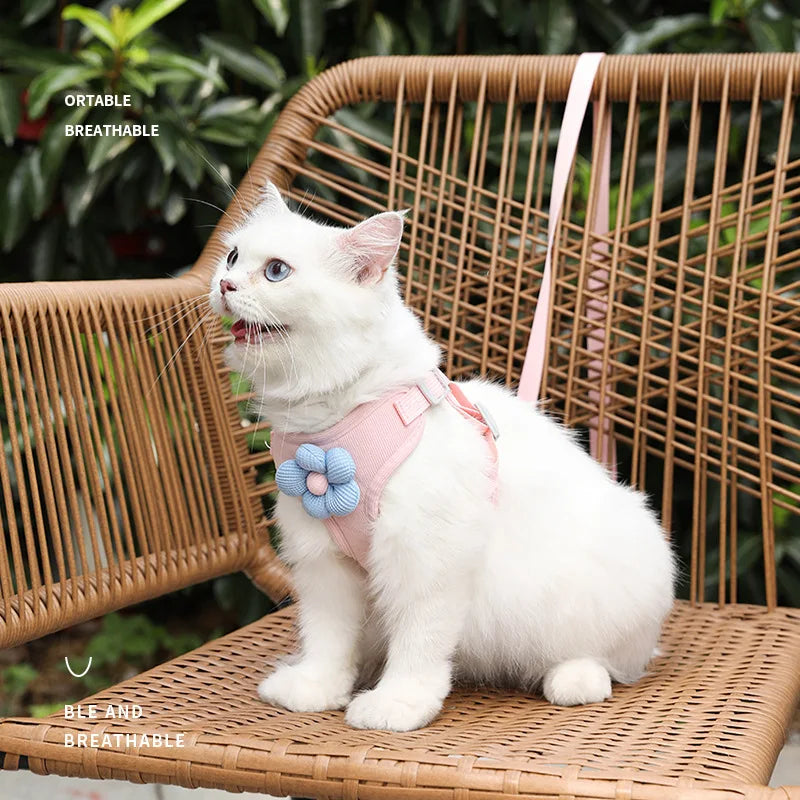 Soft Polyester Collar & Leash Set for Dogs & Cats – Corda™