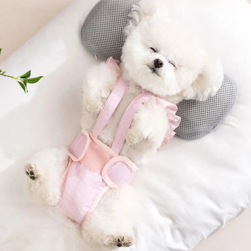 Adjustable Female Dog Diaper Onesie for Heat Cycle – Blossomly™