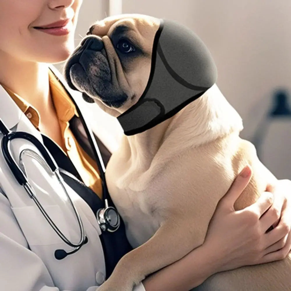 Noise-Reducing Pet Ear Protection Muffs for Dogs & Cats – Hushpaw™