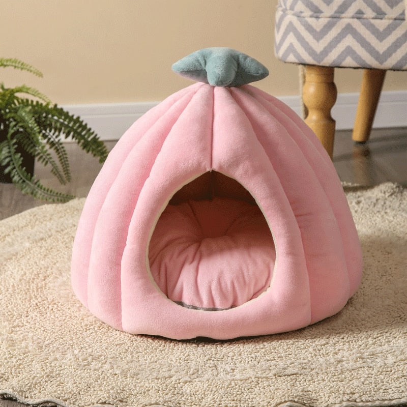 Flower-Shaped Pet Bed with Removable Cushion – CactusBloom™