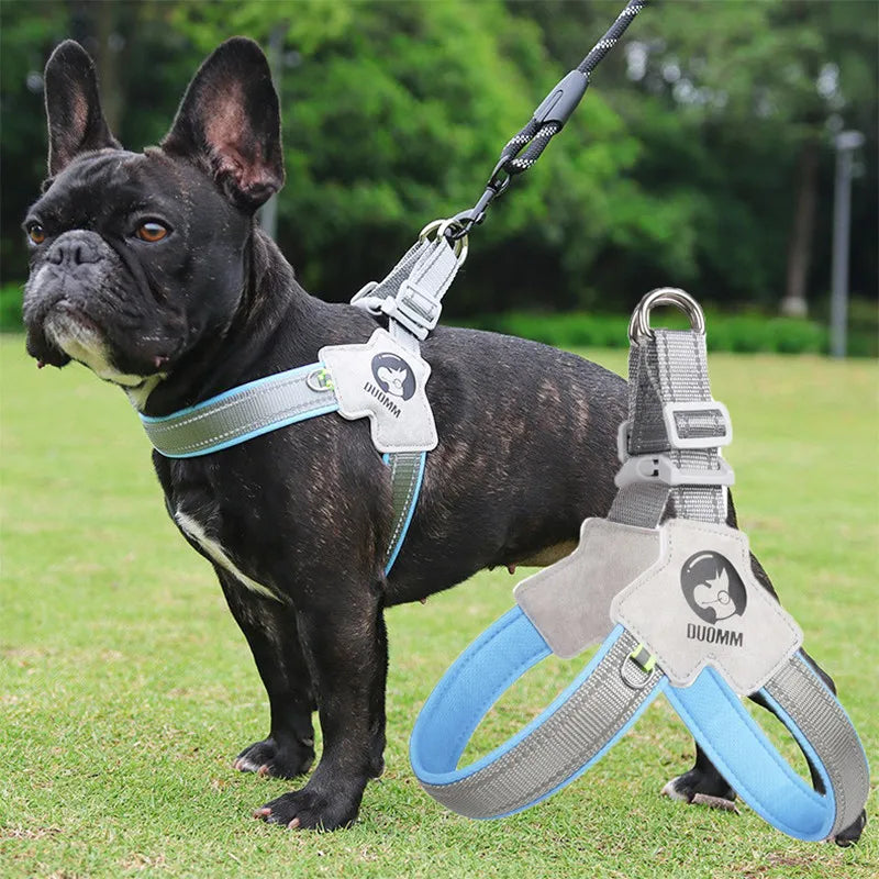 Polyester Pet Harness with Reflective Strip, Multiple Sizes – Trufen™