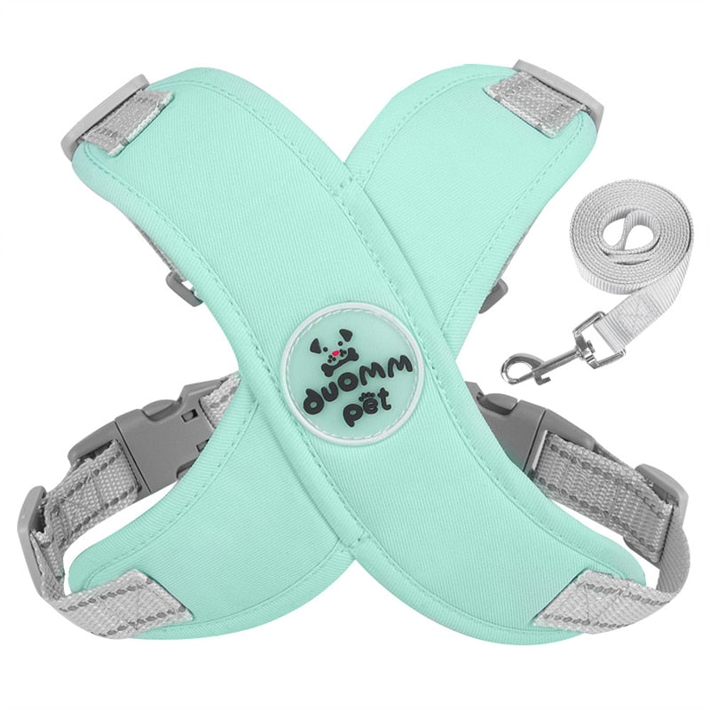 Adjustable Polyester Collar and Leash Set for Dogs and Cats – Zynn™