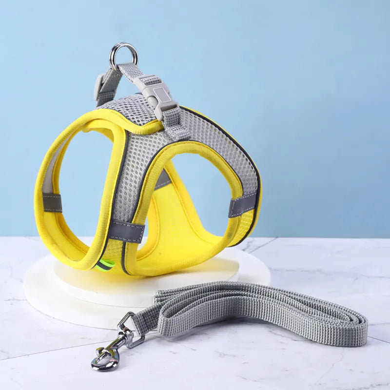 Reflective Collar & Leash Set for Dogs & Cats – Kinlo™