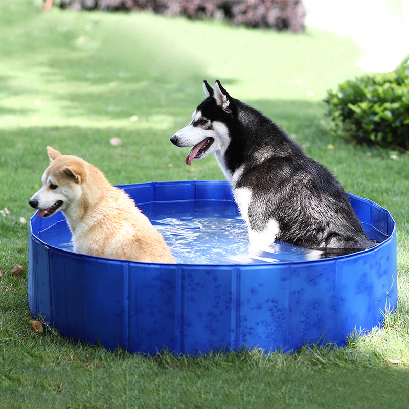 Portable Pet Pool with Reinforced Edges – Splasho™