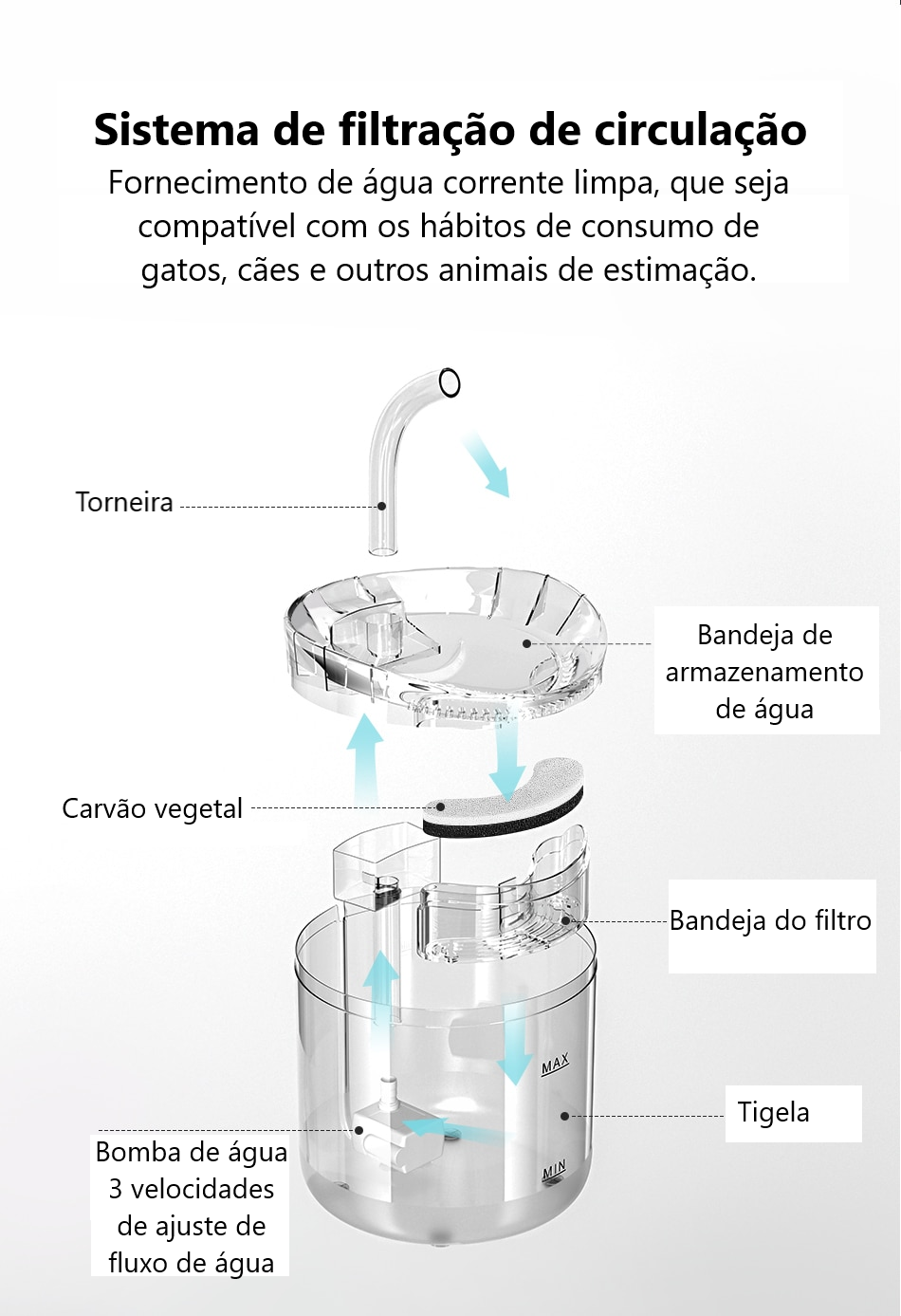 Automatic Pet Water Fountain with Carbon Filter – Clarivo™