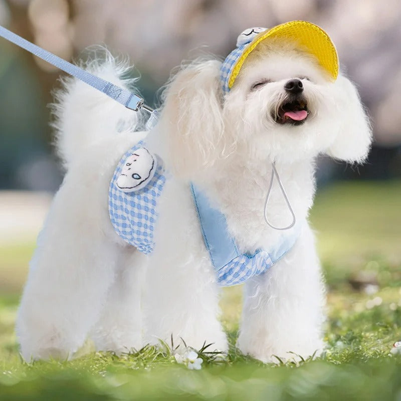 Dog Harness, Leash & Adjustable Hat Set in Blue or Brown – Quenby™