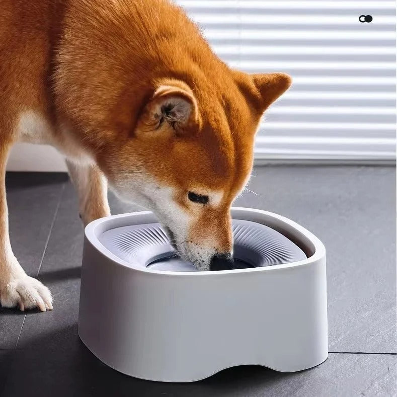 Floating Anti-Splash Pet Bowl – No-Spill Water Dish – Floatie™