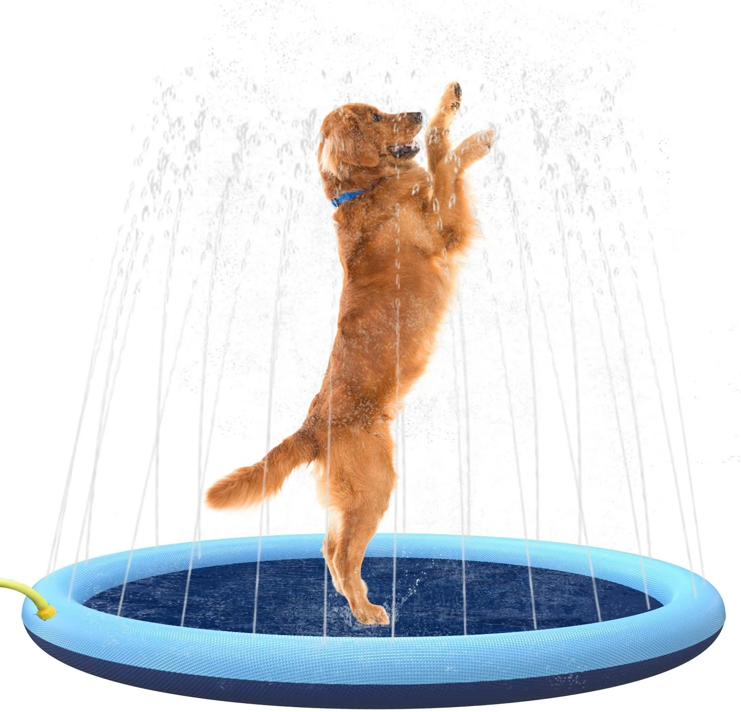 Inflatable Pet Sprinkler Splash Pad for Outdoor Water Fun – AquaSprout™