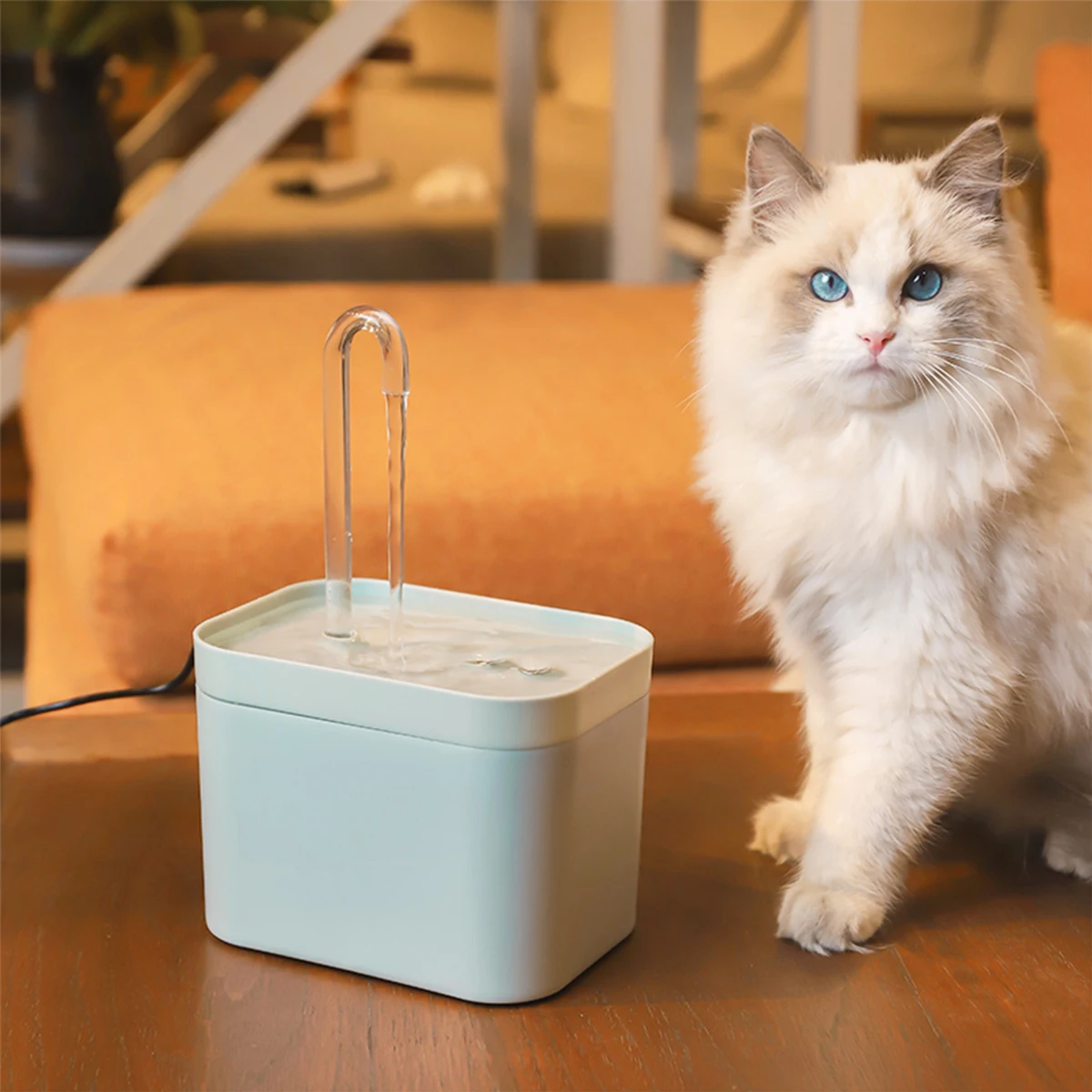 Automatic USB Pet Water Fountain with Filter – Clearwell™