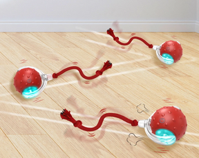 Motion-Sensor Automatic Rolling Ball Cat Toy – Rollio™