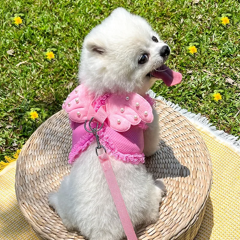Breathable Pink Angel-Wing Harness & Leash Set for Pets – Angeline™