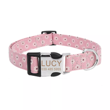 Personalized ID Pet Collar with Name & Phone Number – Tagwell™