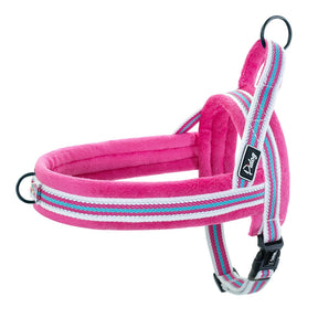 Basic Pet Collar in Light Blue, Dark Blue, Pink & Green – Duro™