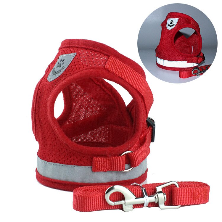 Adjustable Vest Harness & Leash Set for Dogs & Cats – Harnexo™