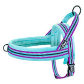 Basic Pet Collar in Light Blue, Dark Blue, Pink & Green – Duro™