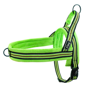Basic Pet Collar in Light Blue, Dark Blue, Pink & Green – Duro™