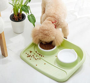 Double Pet Bowl Set with Divided Design for Dogs & Cats – Platterly™